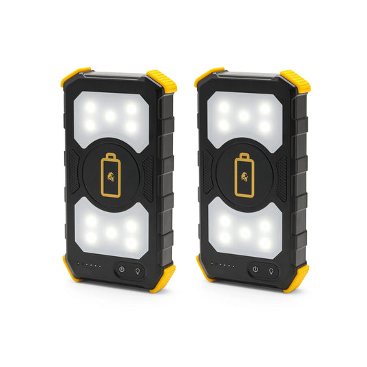 Lion Energy Lion Prowler 2-Pack
