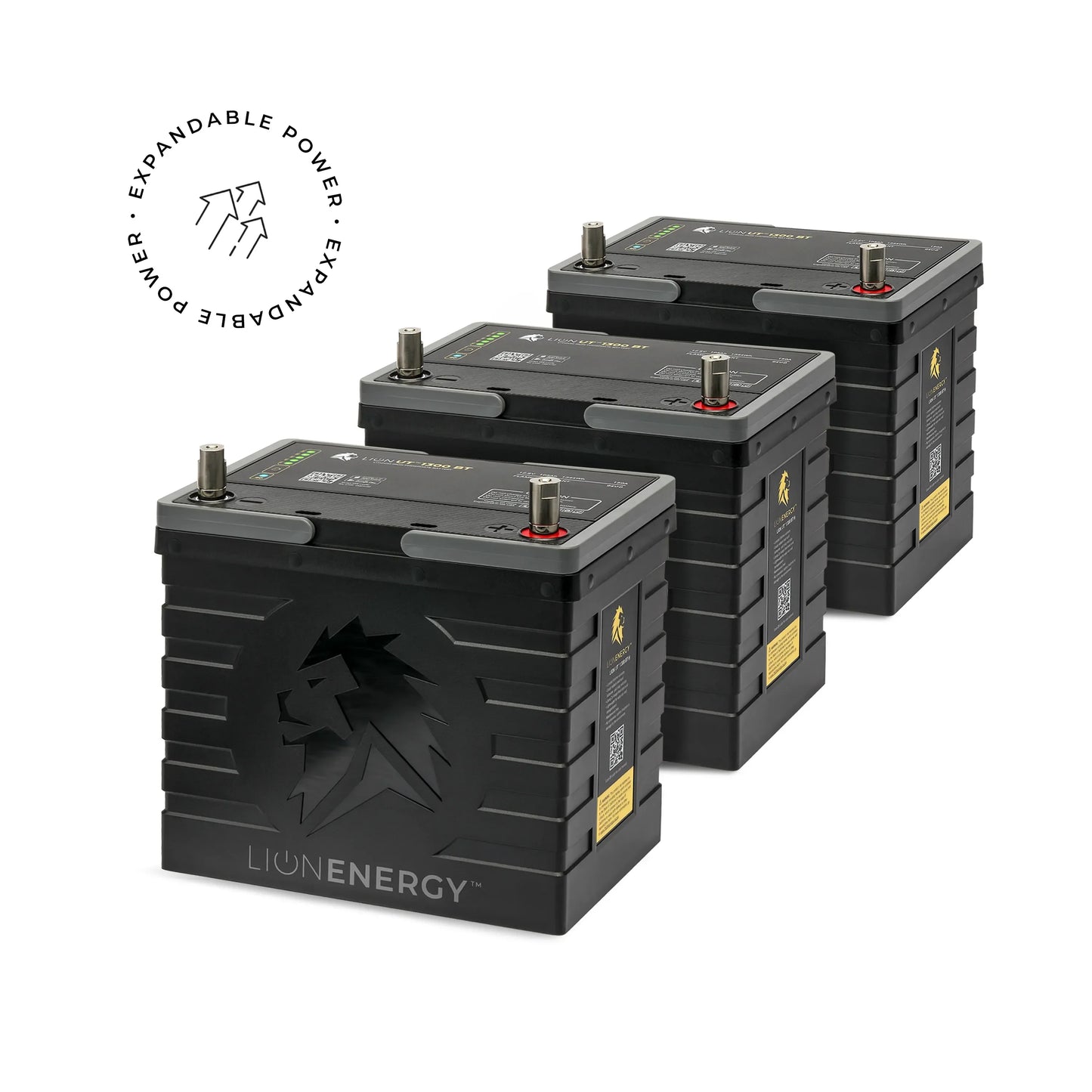 Lion Energy UT 1300 BT