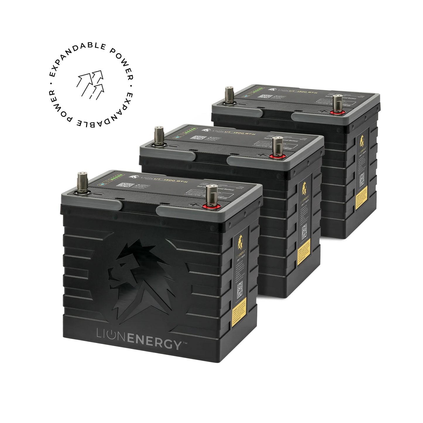 Lion Energy UT 1300 BT-H