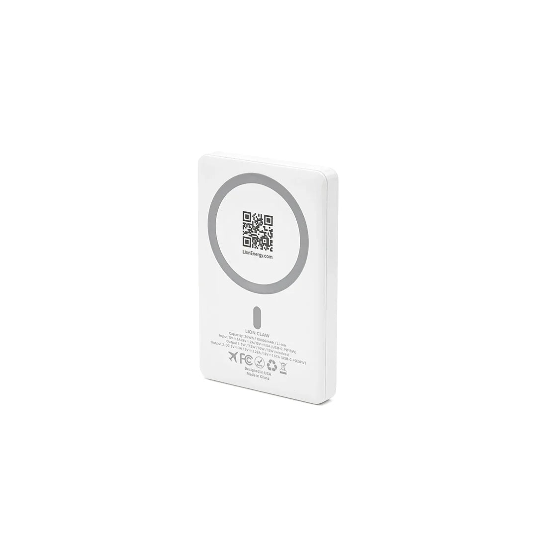 Lion Energy Power Bank Bundle
