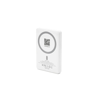 Lion Energy Power Bank Bundle