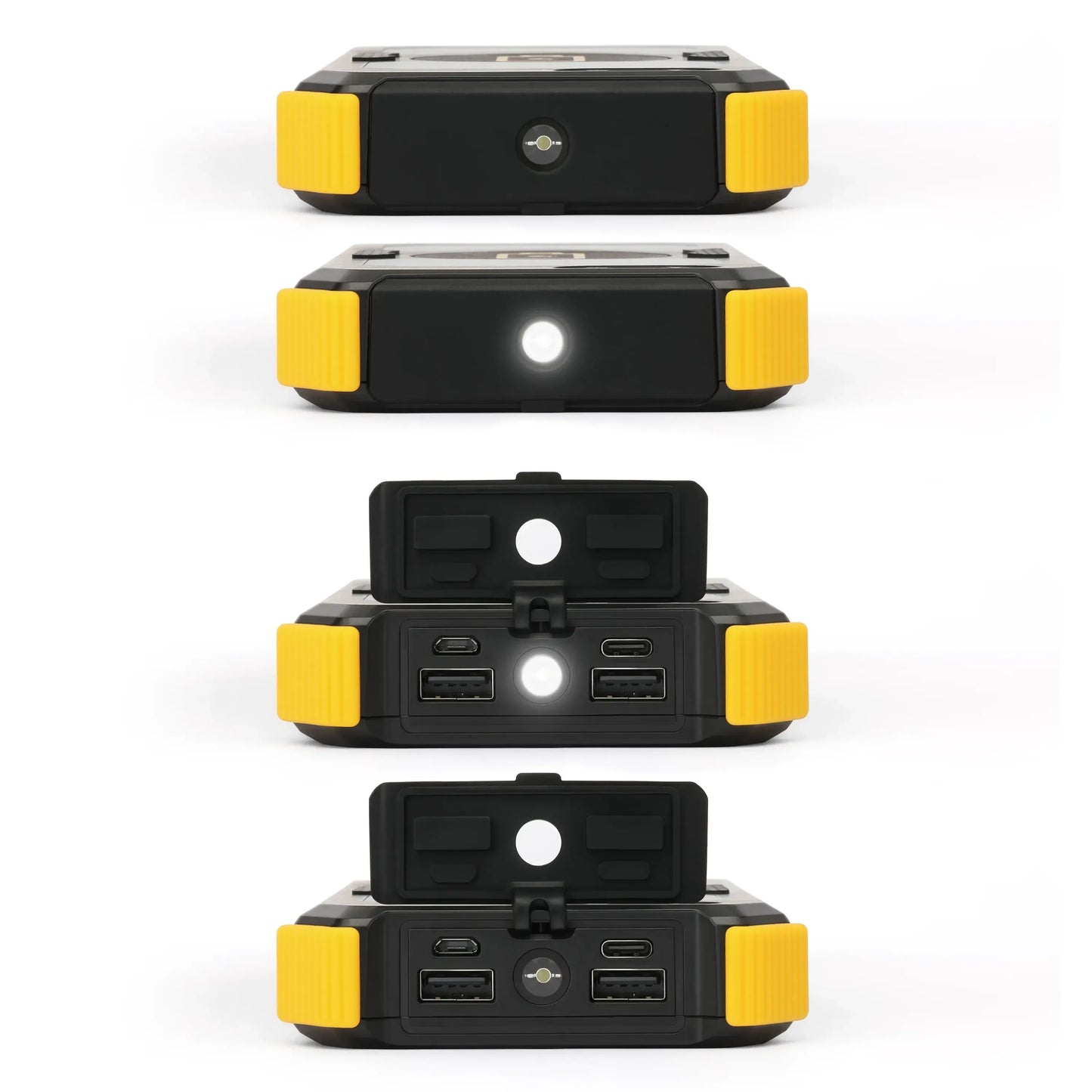 Lion Energy Lion Prowler