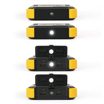 Lion Energy Lion Prowler