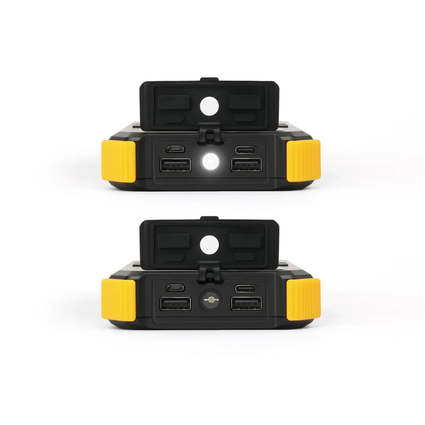 Lion Energy Lion Prowler