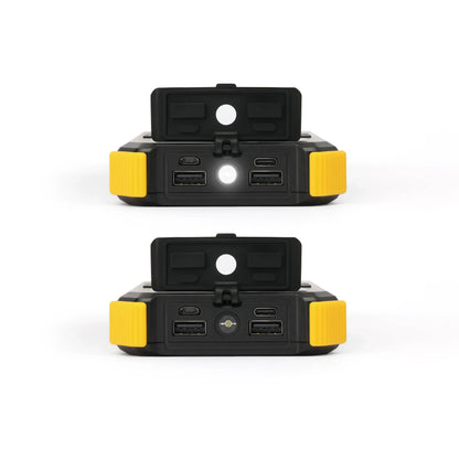 Lion Energy Lion Prowler