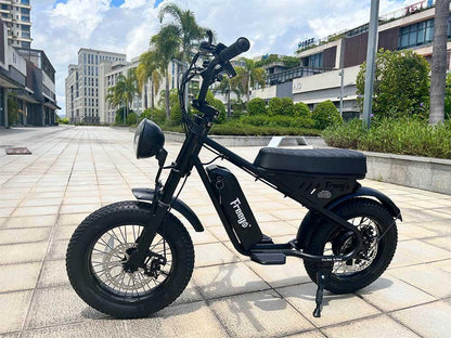 Freego Mini Fat Tire Electric Bike