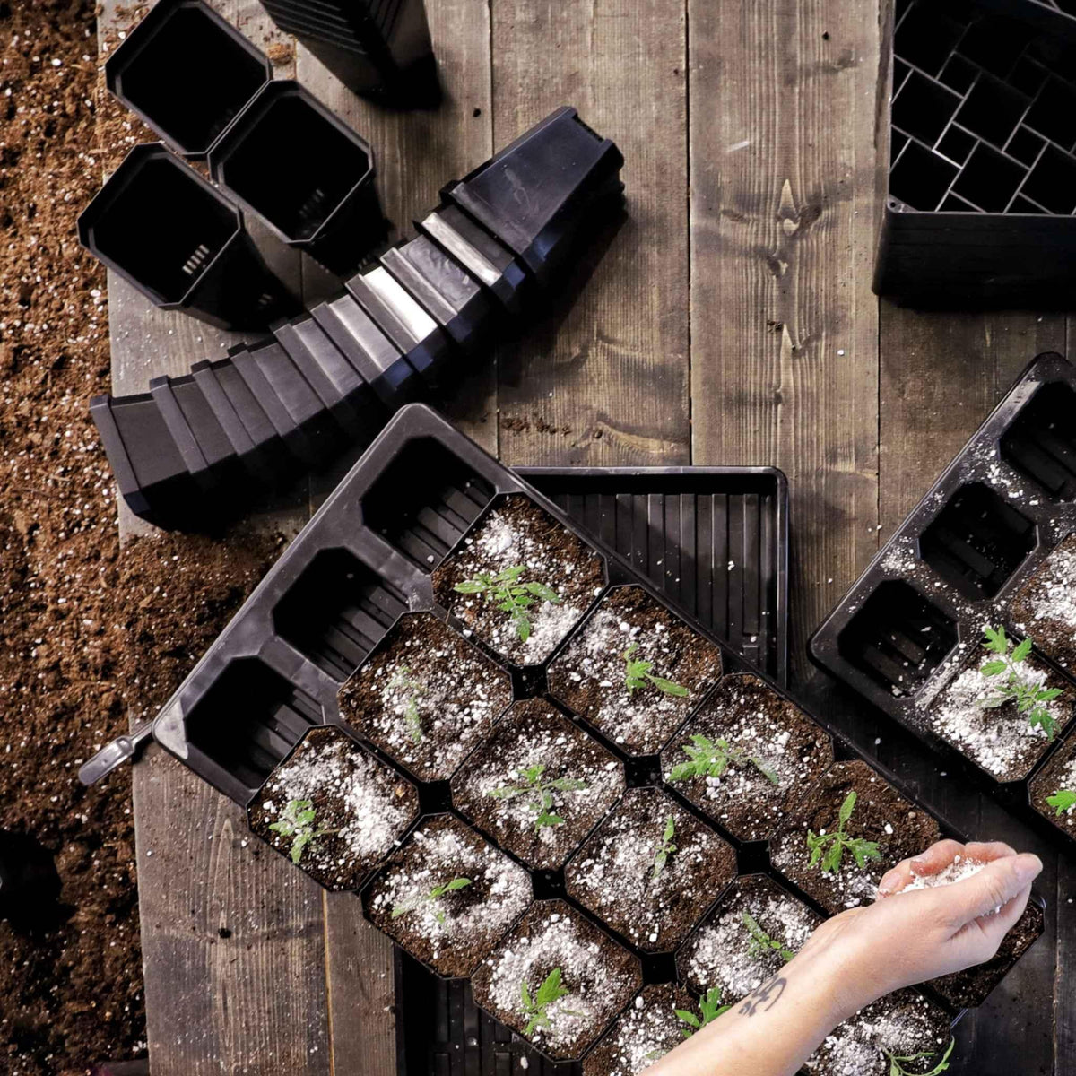Bootstrap Farmer The Market Gardener Seed Starting Bundle