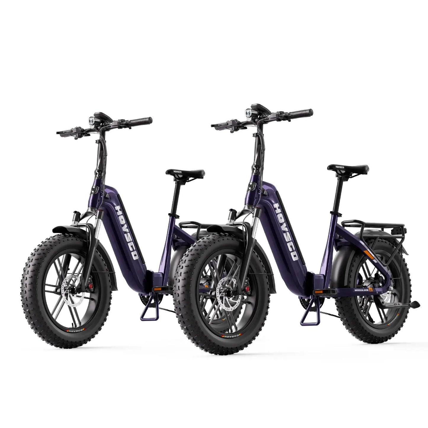 HOVSCO HovBeta 20" Foldable Fat Tire Electric Bike