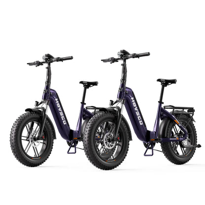 HOVSCO HovBeta 20" Foldable Fat Tire Electric Bike