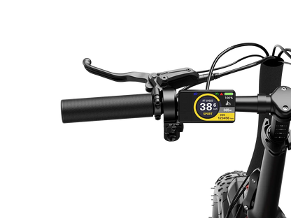Heybike Ranger 3.0 Pro