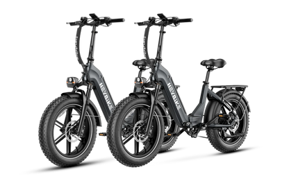 Heybike Ranger S 1000W Combo