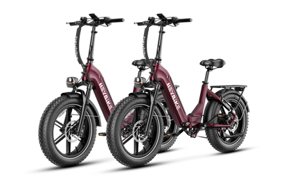 Heybike Ranger S 1000W Combo