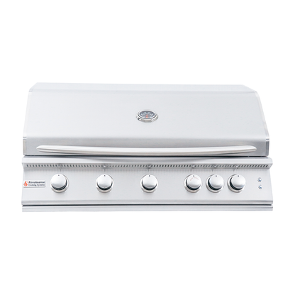 RCS 40-Inch Premier Built-In Grill w/ LED Lights - RJC40AL