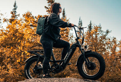 Rambo Revolt AWD Step Thru Bike