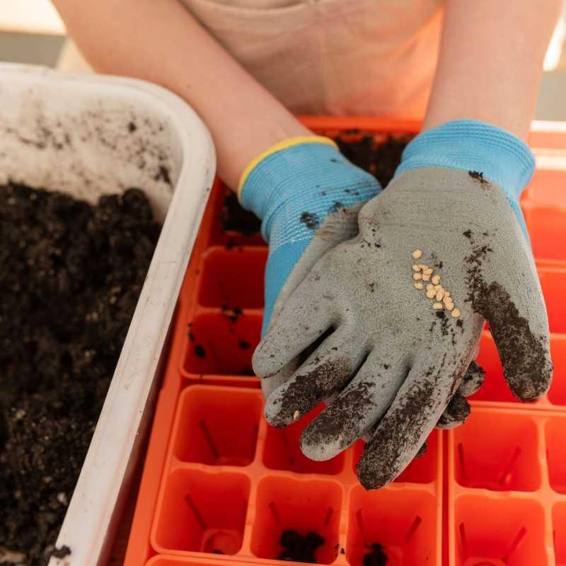 Bootstrap Farmer Classroom Seed Starting Bundle