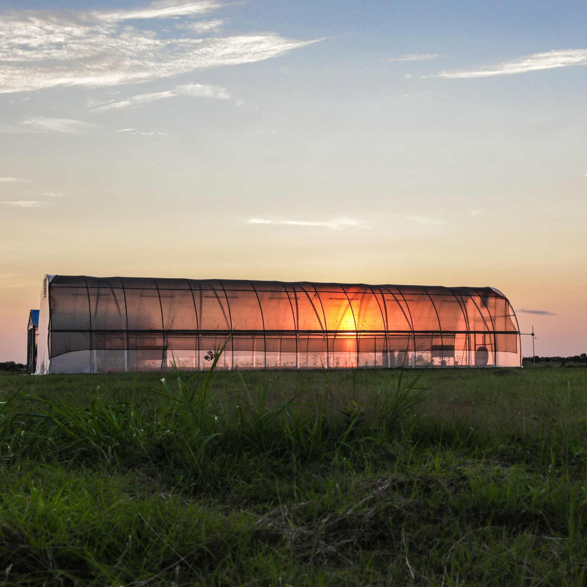 Bootstrap Farmer All-Metal Round Hoop House Kit