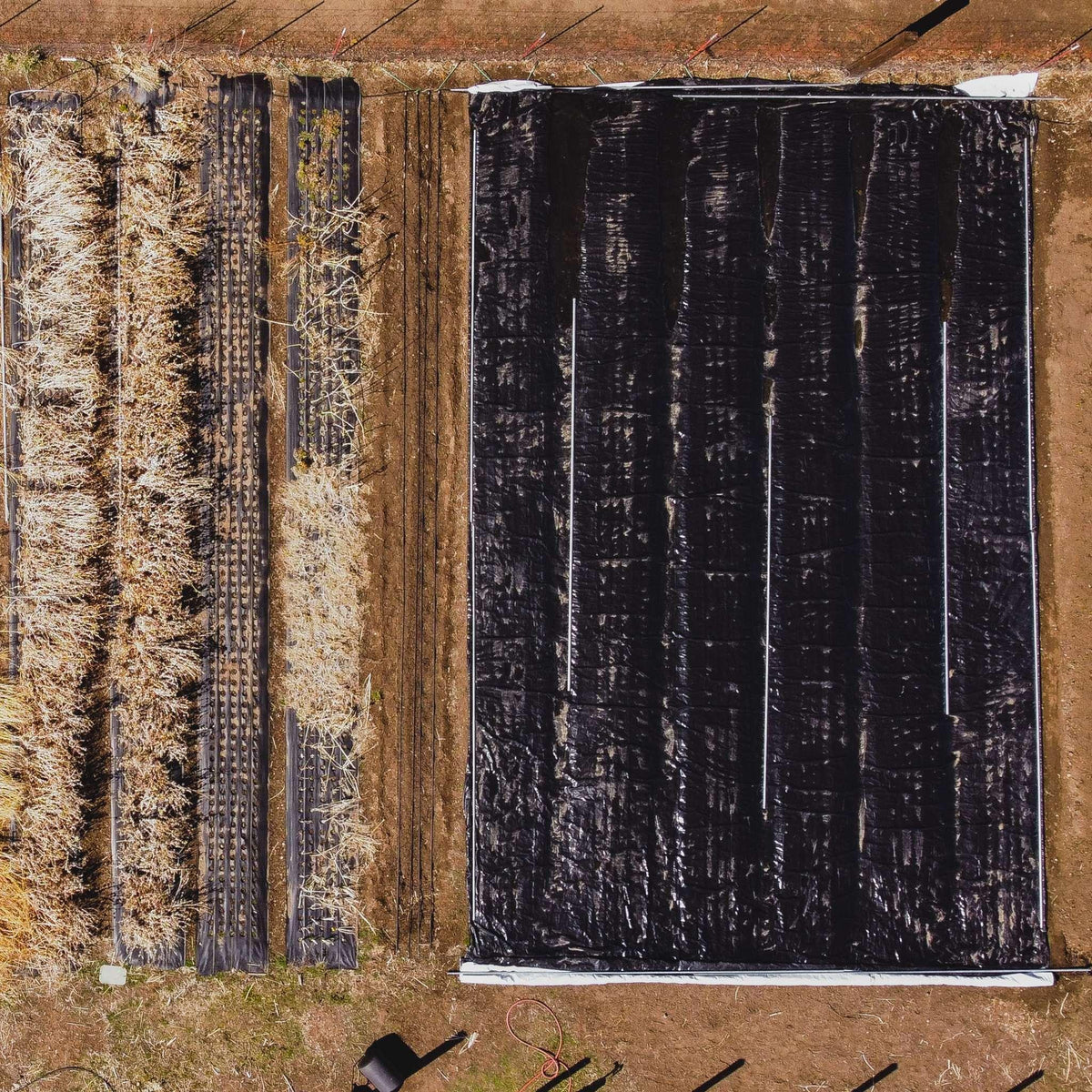 Bootstrap Farmer Silage Tarp - 6 mil Reversible Black & White