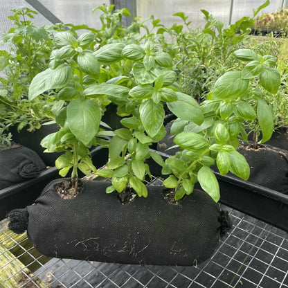 Bootstrap Farmer Varden™ Soil-Filled Vardensok