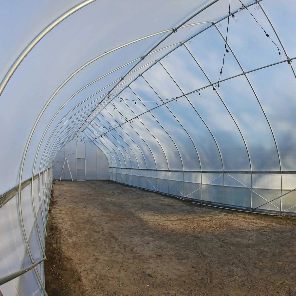 Bootstrap Farmer Gothic All-Metal Hoop House Kit