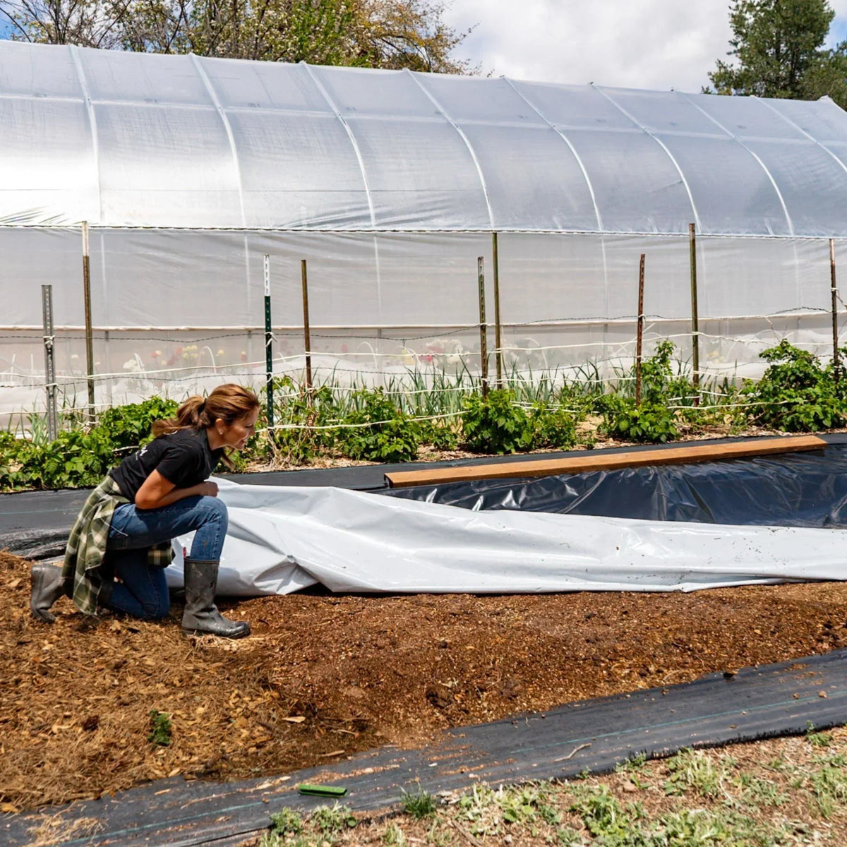 Bootstrap Farmer Silage Tarp - 6 mil Reversible Black & White