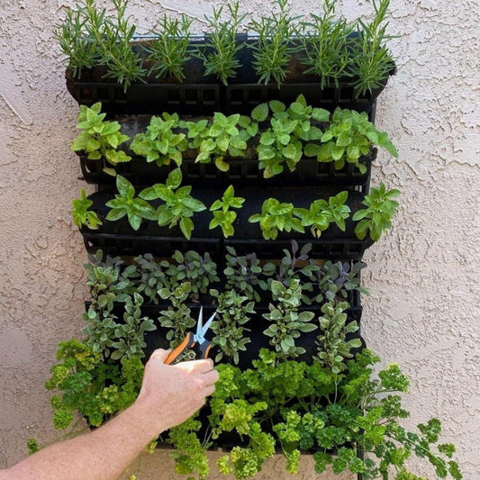 Bootstrap Farmer Varden™ Kitchen Garden