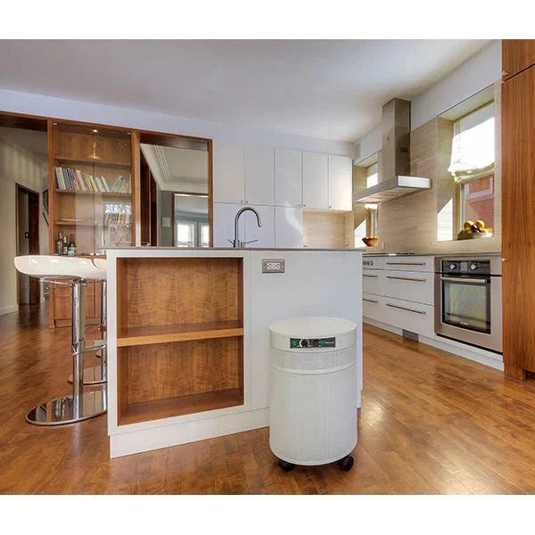 Airpura R-Series - Best General Cleaning All Purpose Air Purifier - R600 and R700