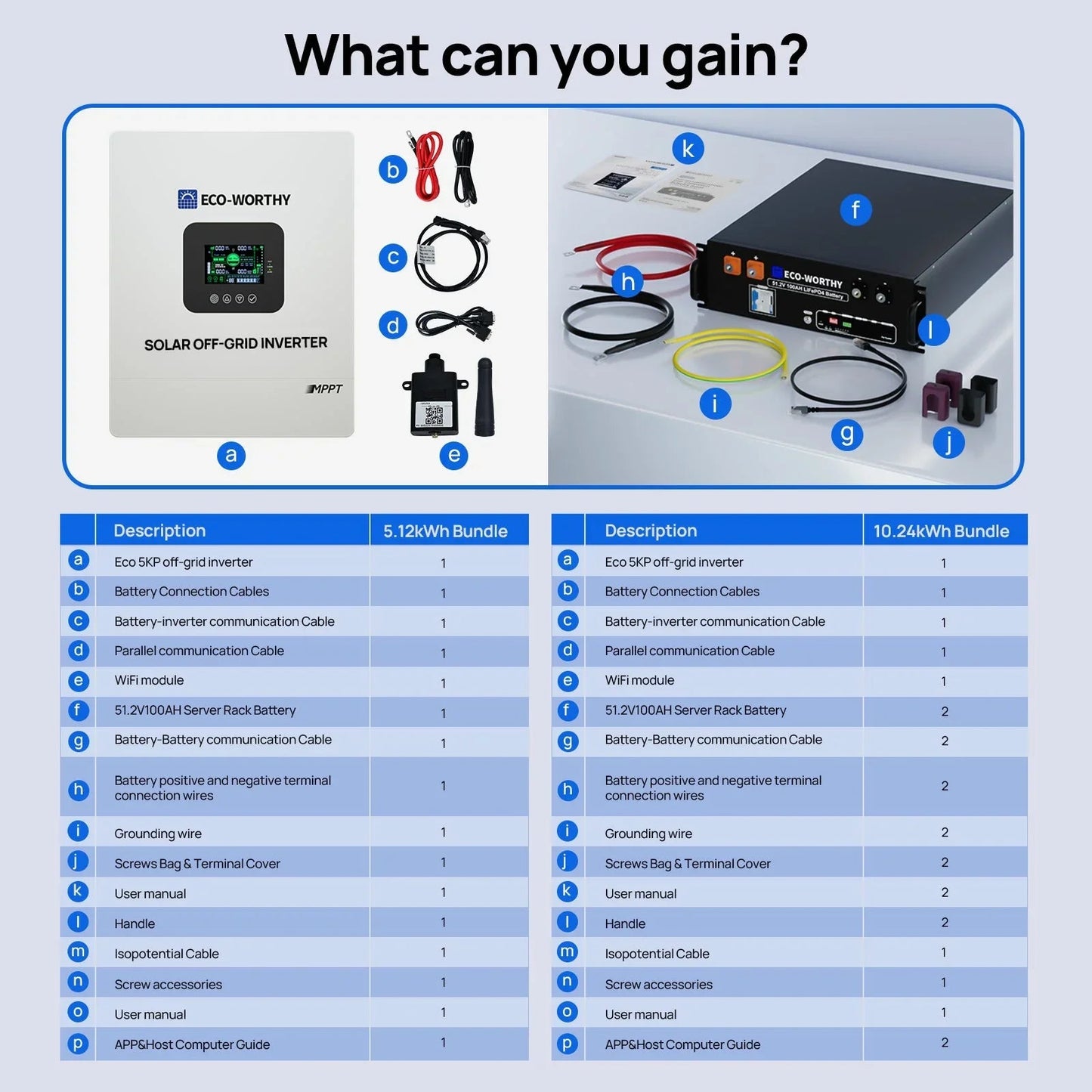 Eco-Worthy Off-Grid Home Power Bundle | 5kW Inverter + 48V 100Ah Server Rack Battery