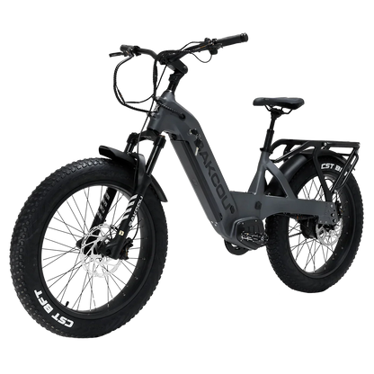 Bakcou Flatlander SD Electric Bike
