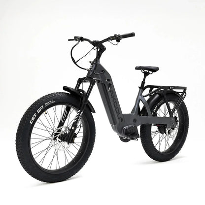 Bakcou Flatlander SD Electric Bike