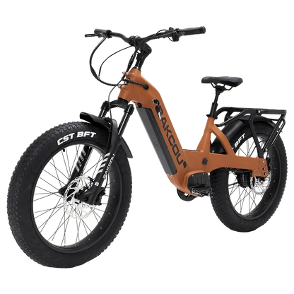 Bakcou Flatlander SD Electric Bike