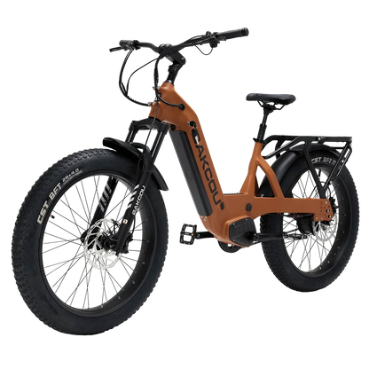 Bakcou Flatlander SD Electric Bike