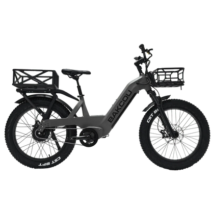 Bakcou Flatlander SD Electric Bike