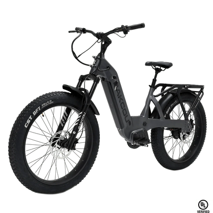 Bakcou Flatlander SD Electric Bike