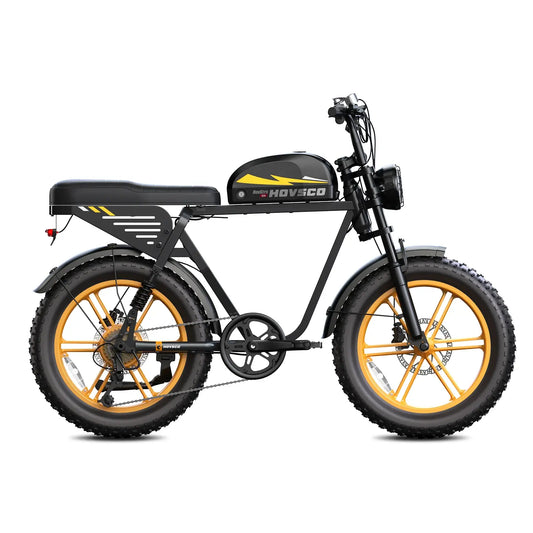 HOVSCO HovGtrs 1500W Moped-style Electric Bike