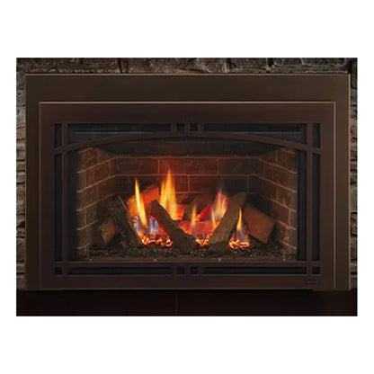 Majestic Ruby 25" Direct Vent Insert [RUBY25IN/IL] (SAK78432)