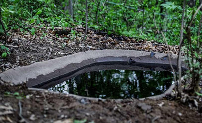Earth Blind — Medium Earth Pond (50 Gallon)