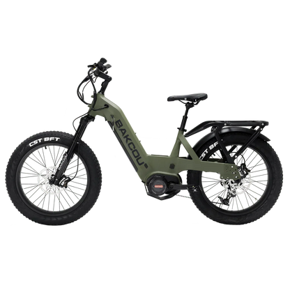 Bakcou Mule SD Electric Bike
