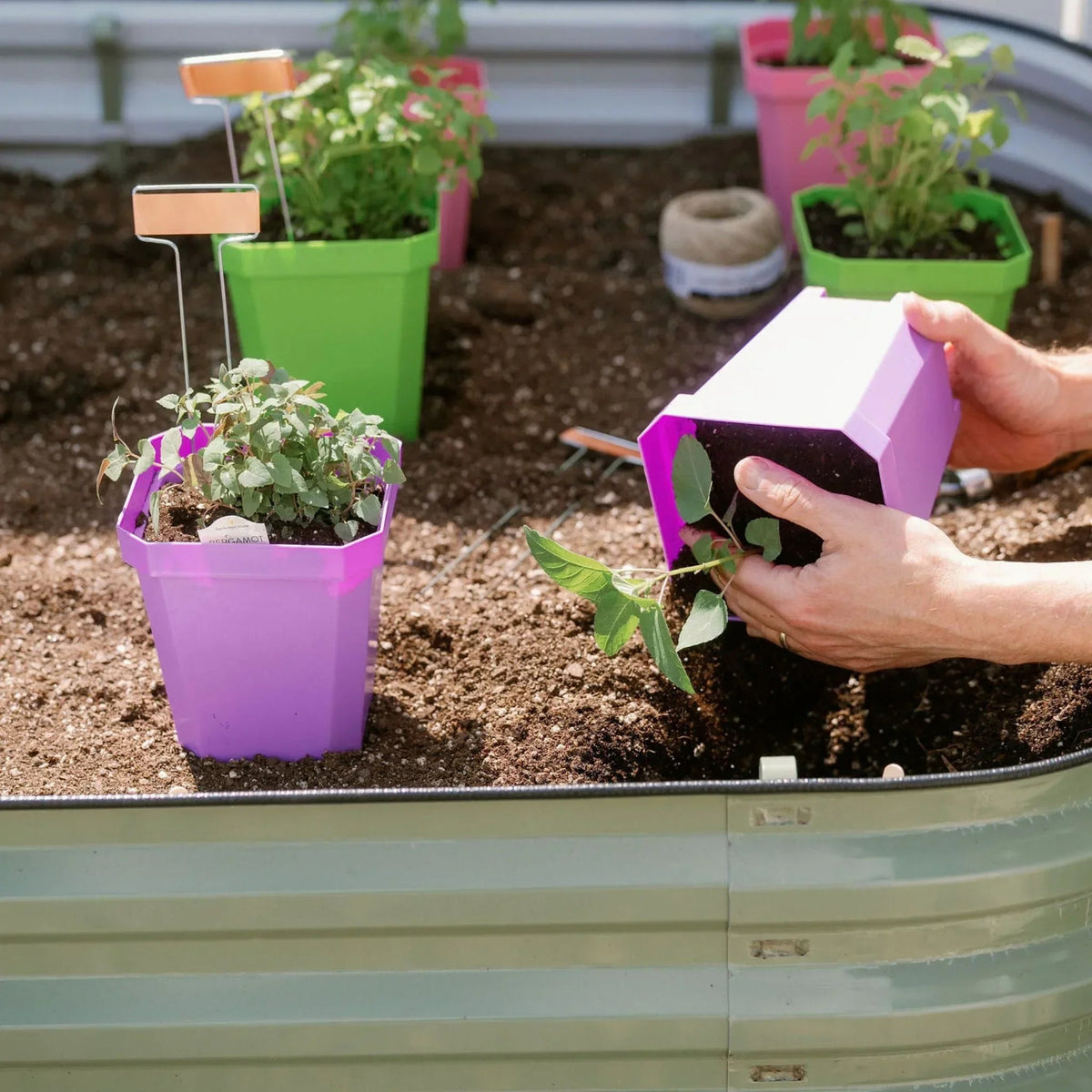 Bootstrap Farmer 17" Metal Modular Raised Garden Bed Kit | 6 in 1 "No Tools Needed"