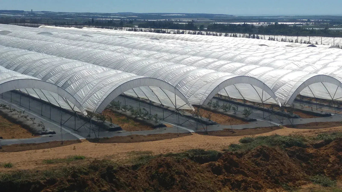 Bootstrap Farmer Greenhouse Woven Plastic 8 mil- Solarig 156