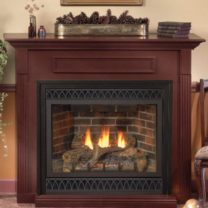 White Mountain Hearth (Empire) Tahoe 42-Inch Natural Gas Direct Vent Deluxe Fireplace [DVD42FP] (SAK56218)